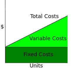 Fixed costs and variable costs